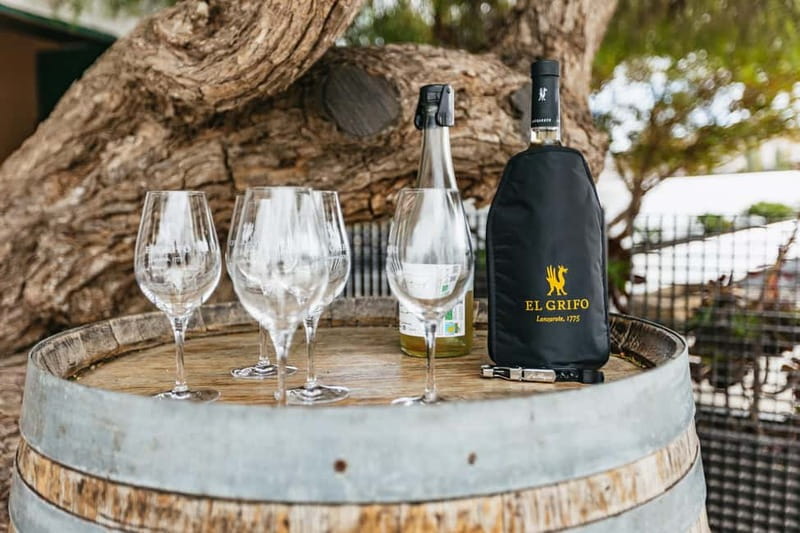 Wine Lovers: Wine Tasting Tour at El Grifo Bodega Lanzarote - My booking advice